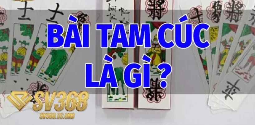 Bài Tam Cúc Là Gì?