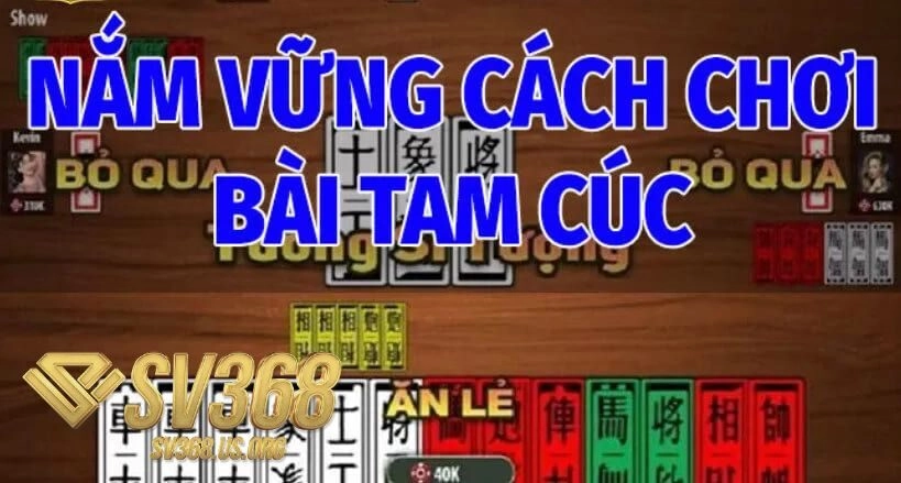 Nắm Vững Cách Chơi Bài Tam Cúc Cơ Bản