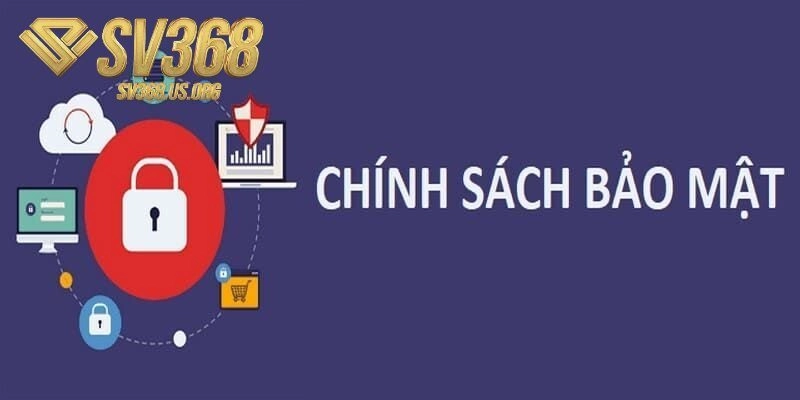 Điều khoản chi tiết trong chính sách bảo mật SV368
