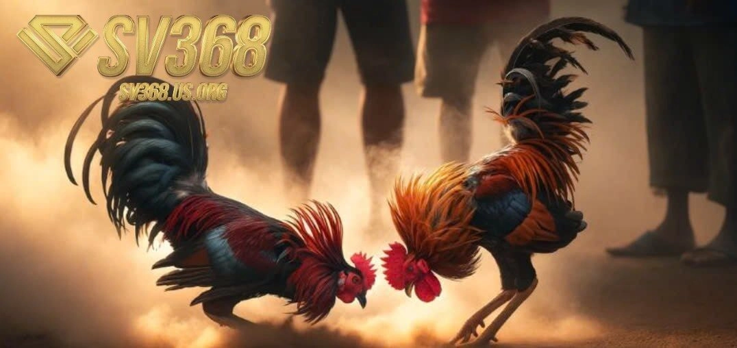 Những kinh nghiệm thực chiến từ giới cao thủ