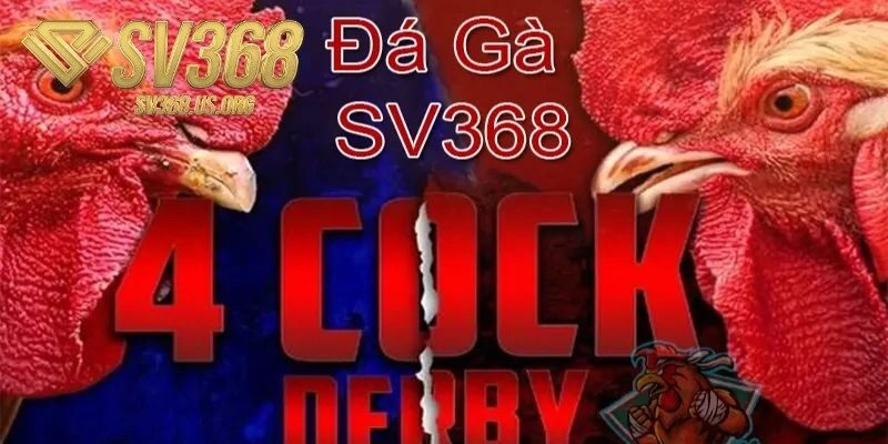Những đặc điểm ấn tượng của dịch vụ đá gà SV368