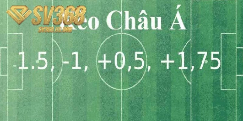 Tìm hiểu các dạng tỷ lệ trong soi kèo châu Á.